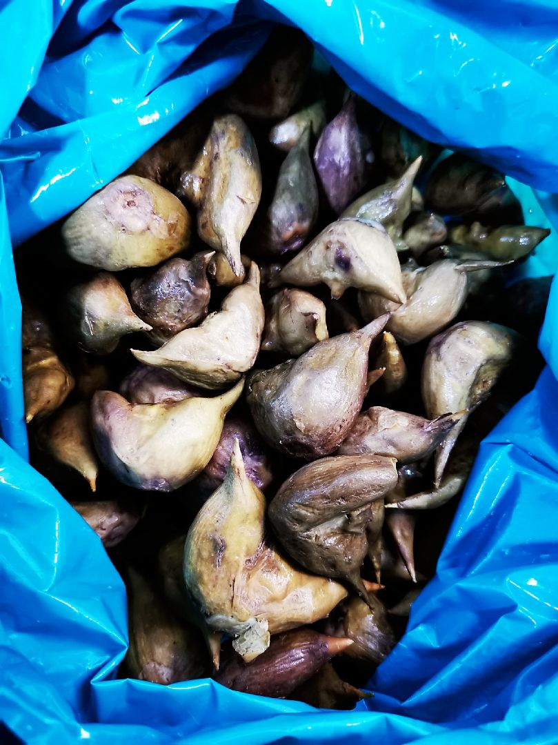 今天收到娟子人肉快递的新鲜菱角 开心