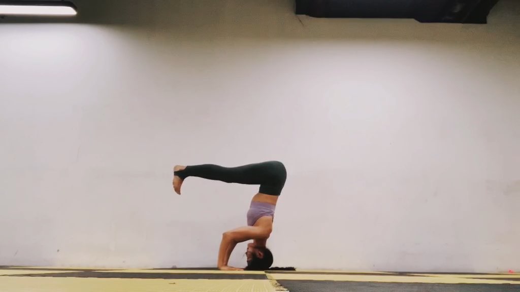 三角头倒立练习控制核心,手掌撑地,手肘平行相对,双肩远离双耳,背部