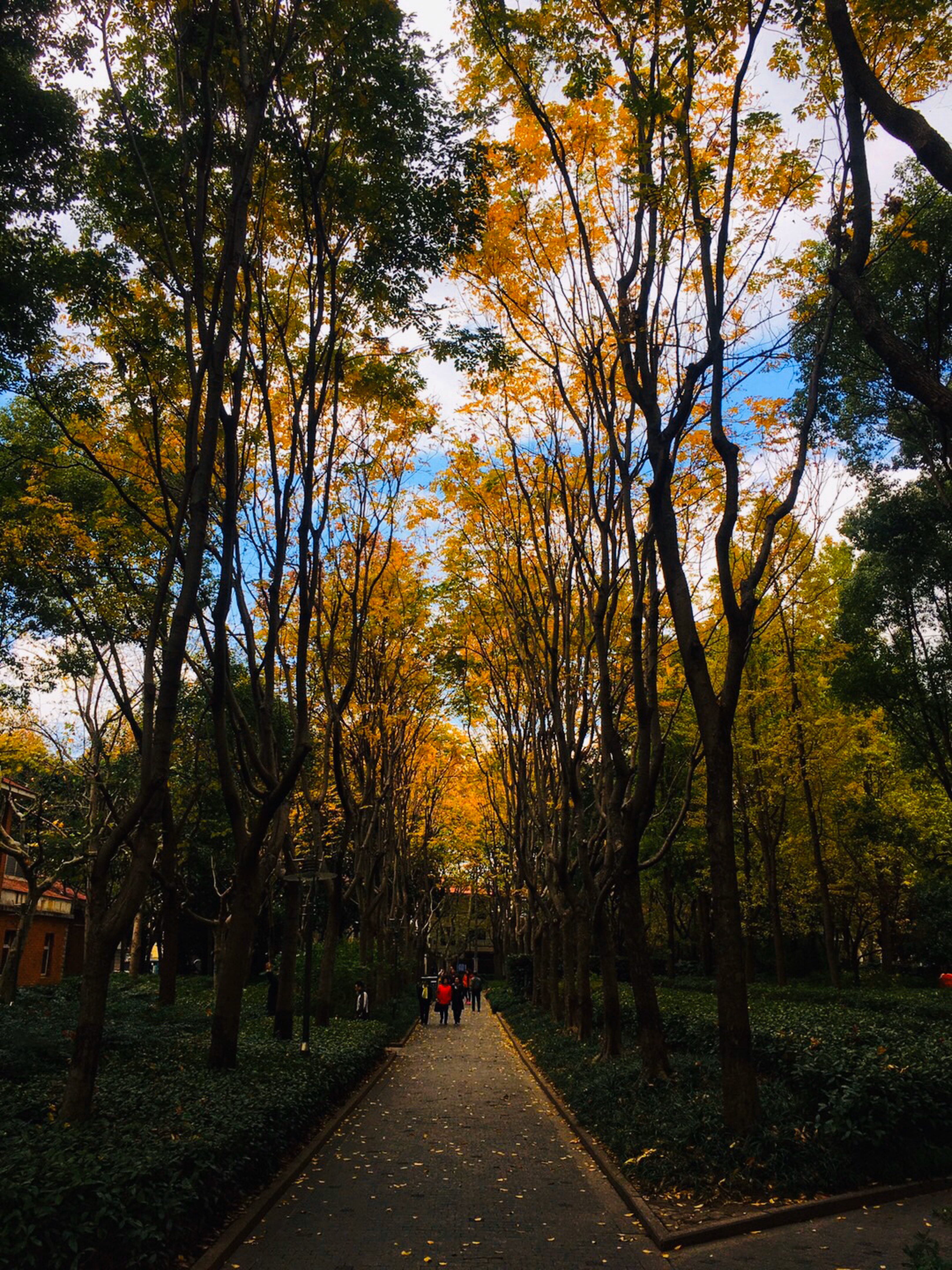 全国第一个都市开放型4a级景区～上海徐家汇源