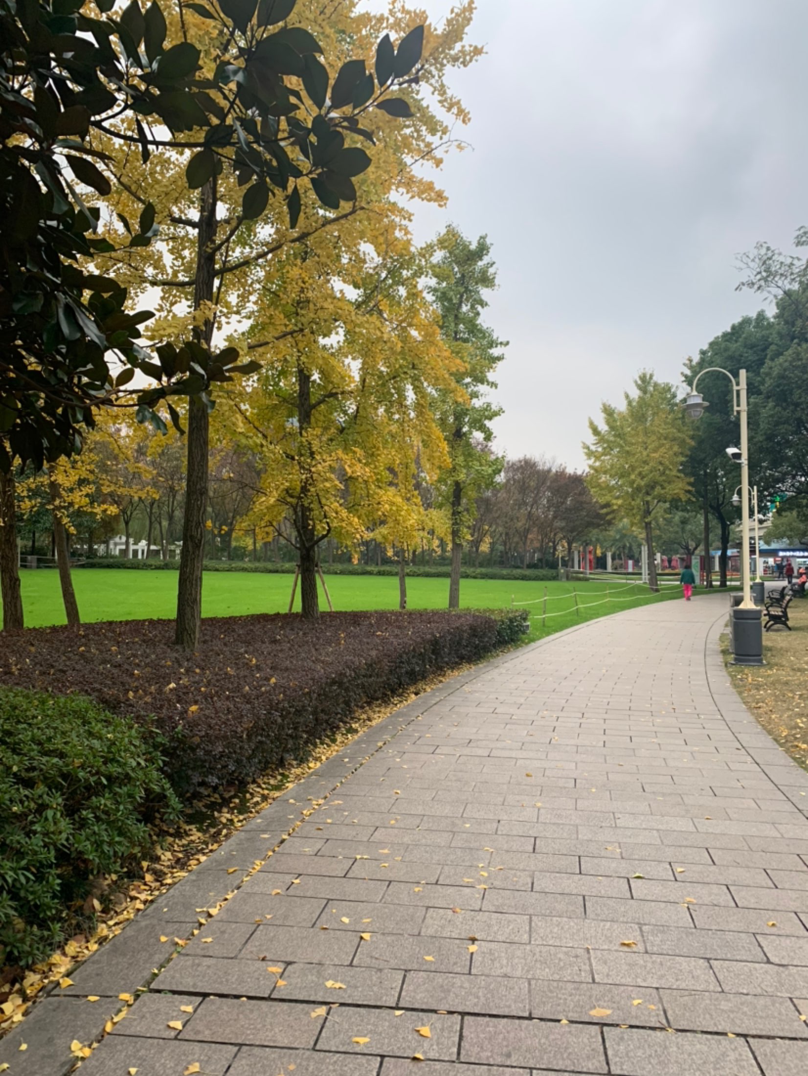 小风飕飕地刮我慢悠悠地跑