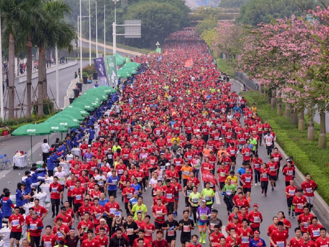 南马归来一切回到原来的样子,运动习惯已经养成,小跑怡情.