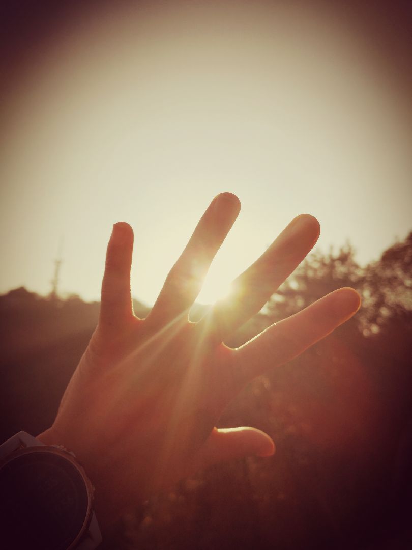 手遮挡太阳的唯美图片图片