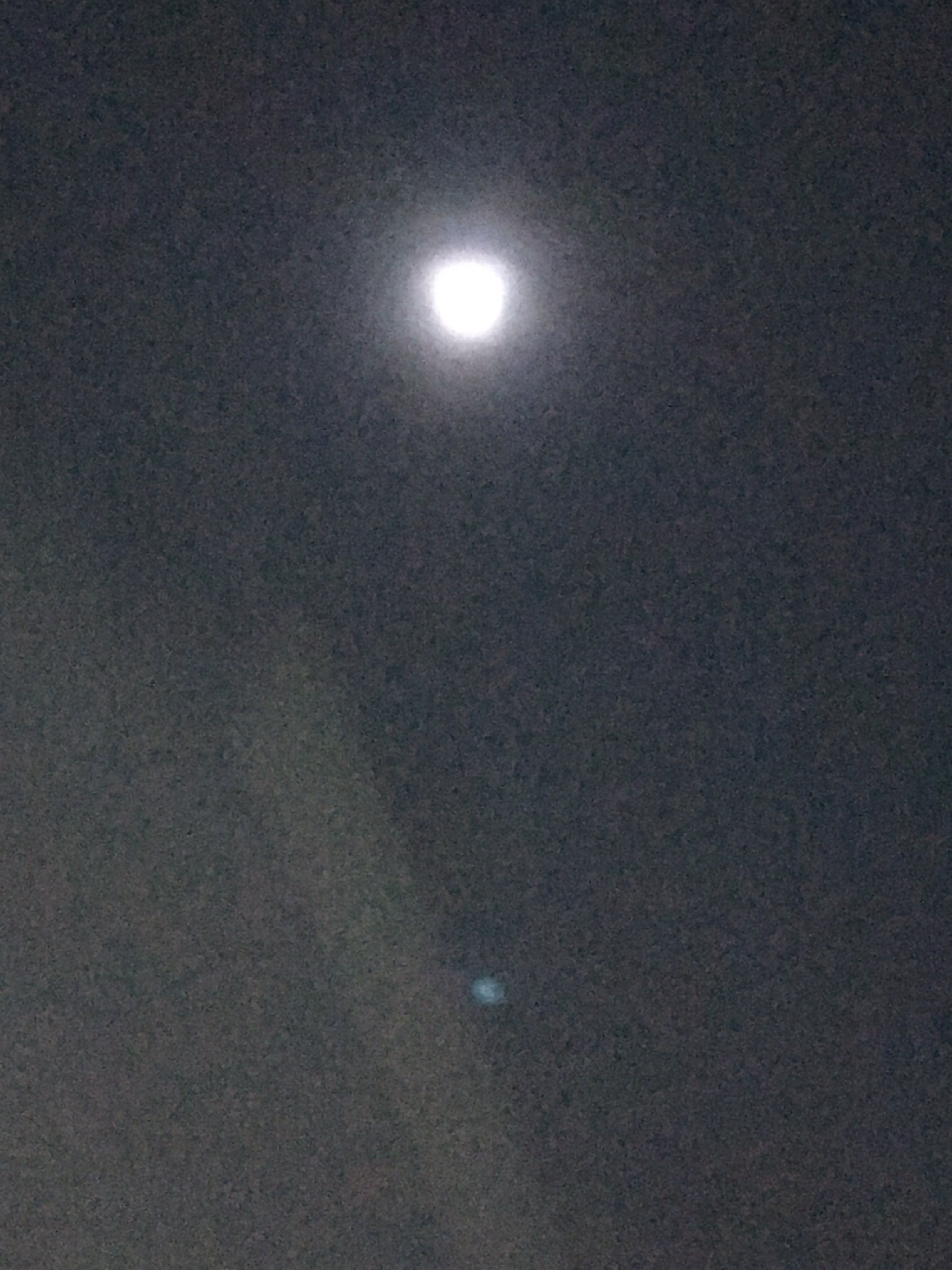 朗润园月亮图片