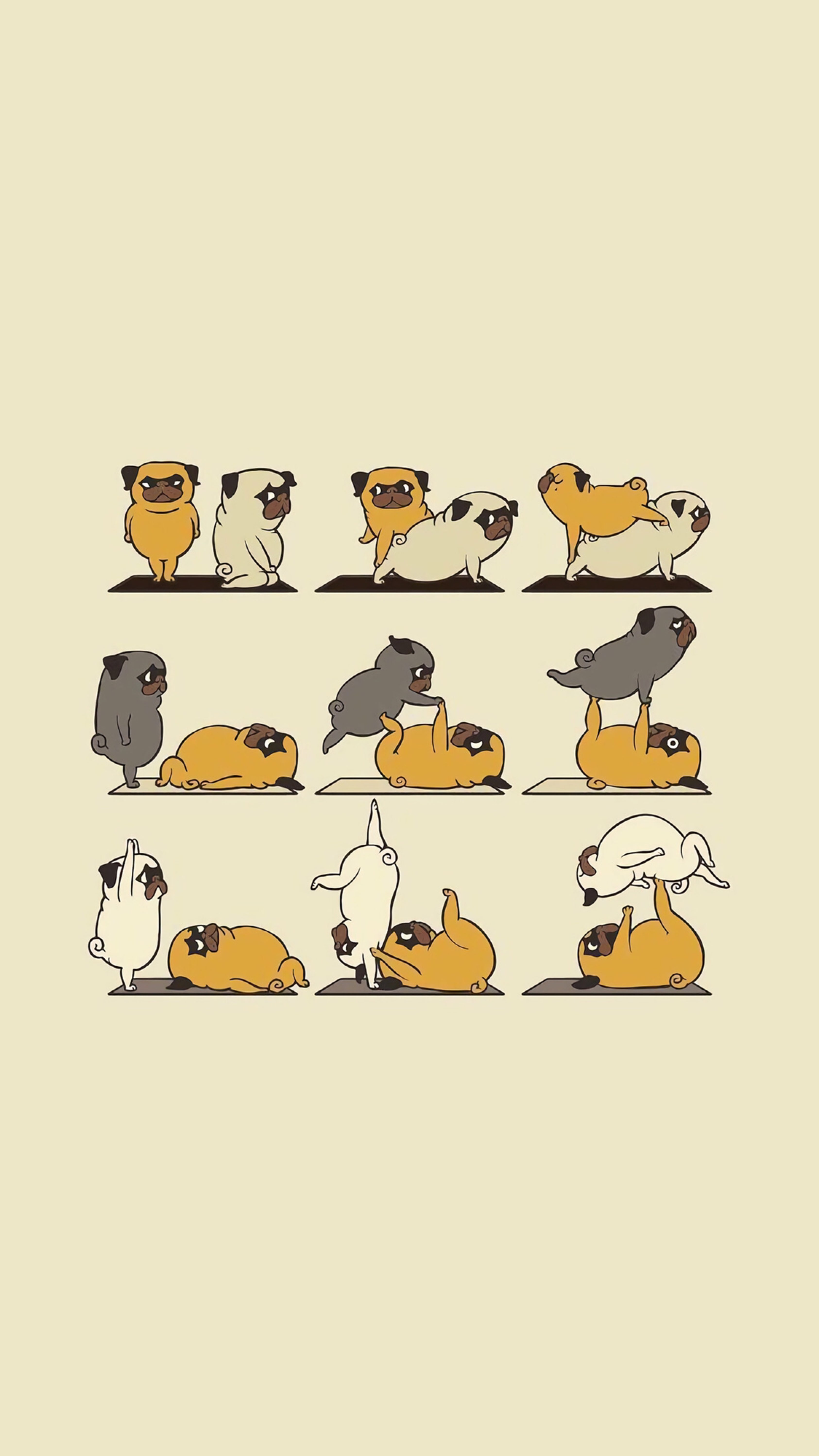 一组小动物们努力运动的壁纸,太喜欢了_keep