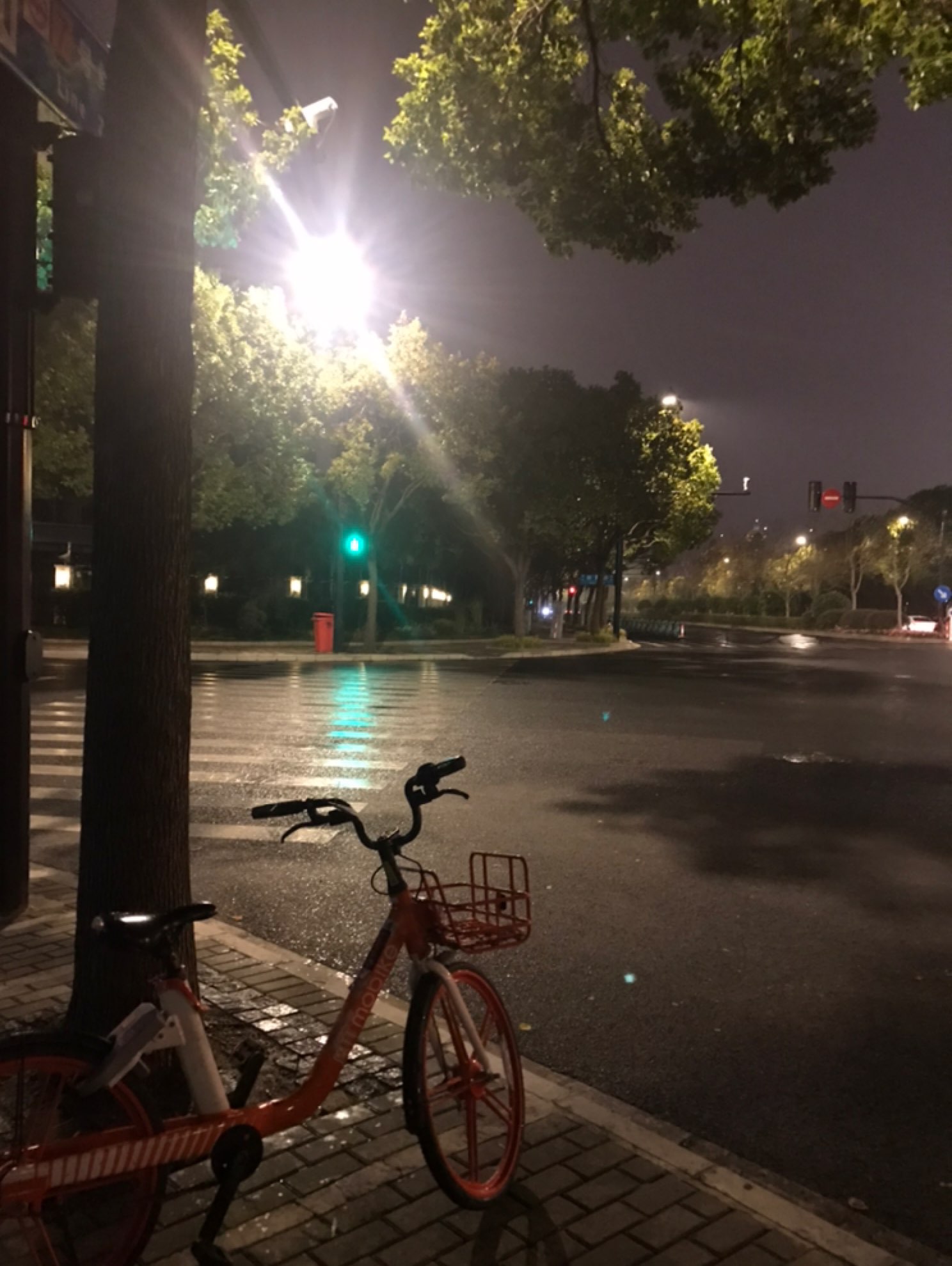 刮风下雨夜晚图片