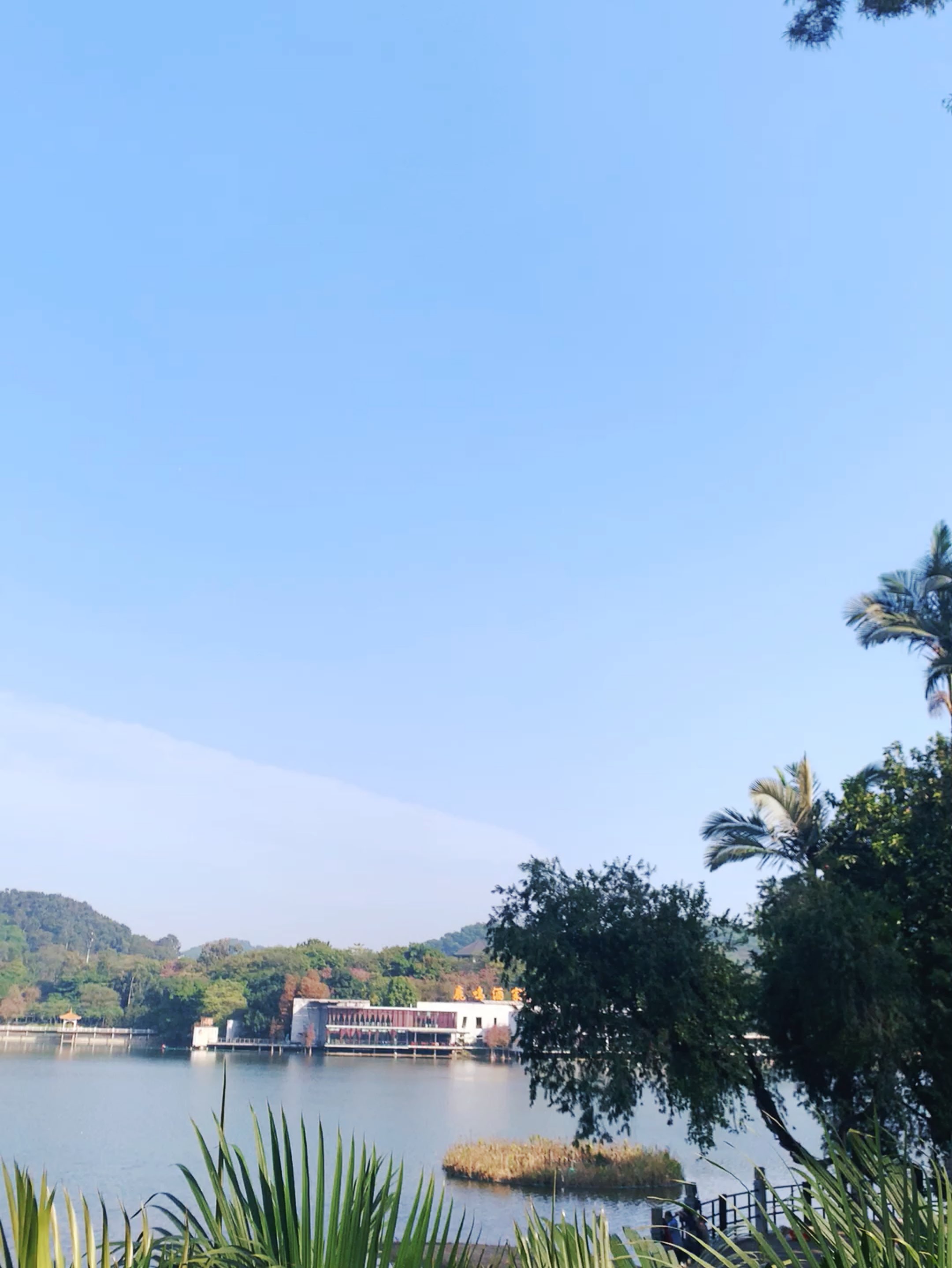 09公里, 31分54秒  完成 环麓湖公园