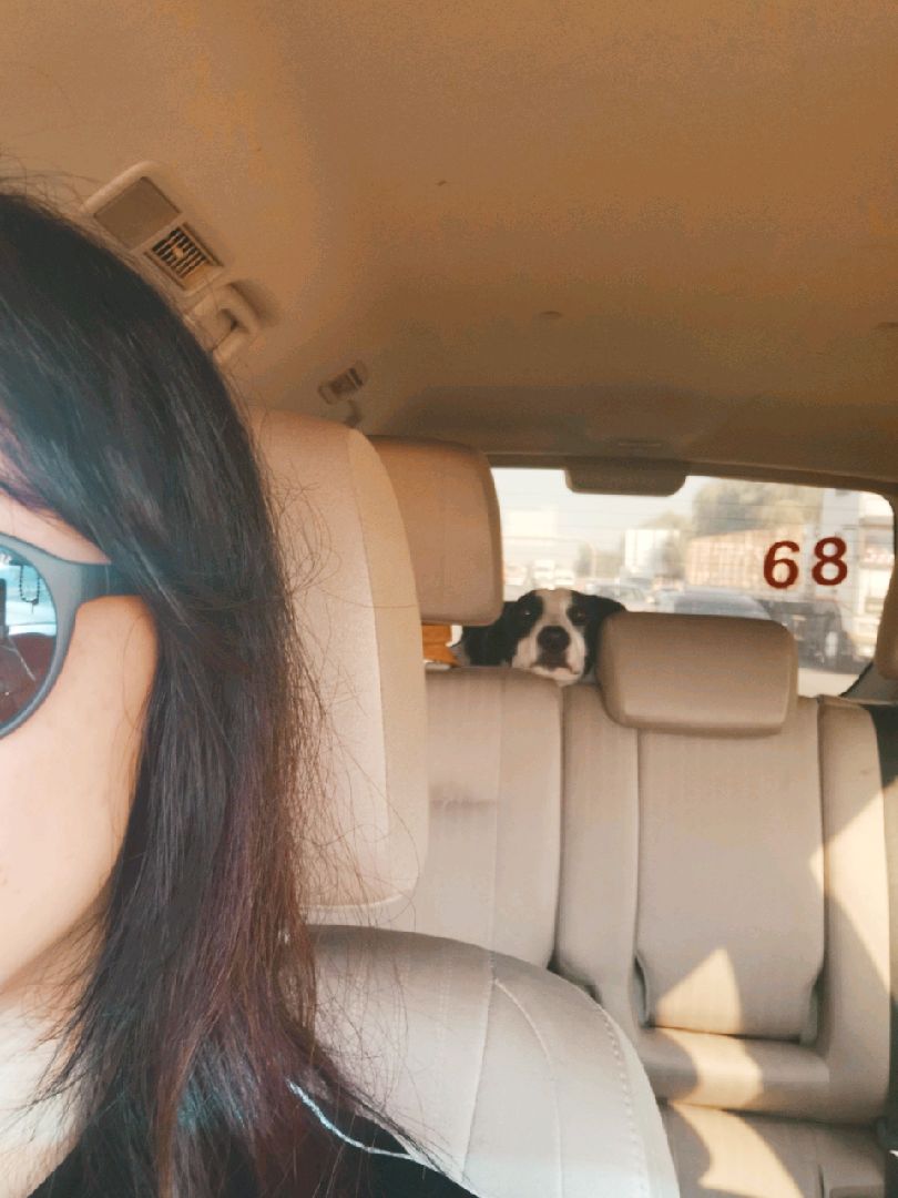 欣赏一下小八子坐车的熊样坐车超过30分钟包吐从来不敢请人坐我的车.