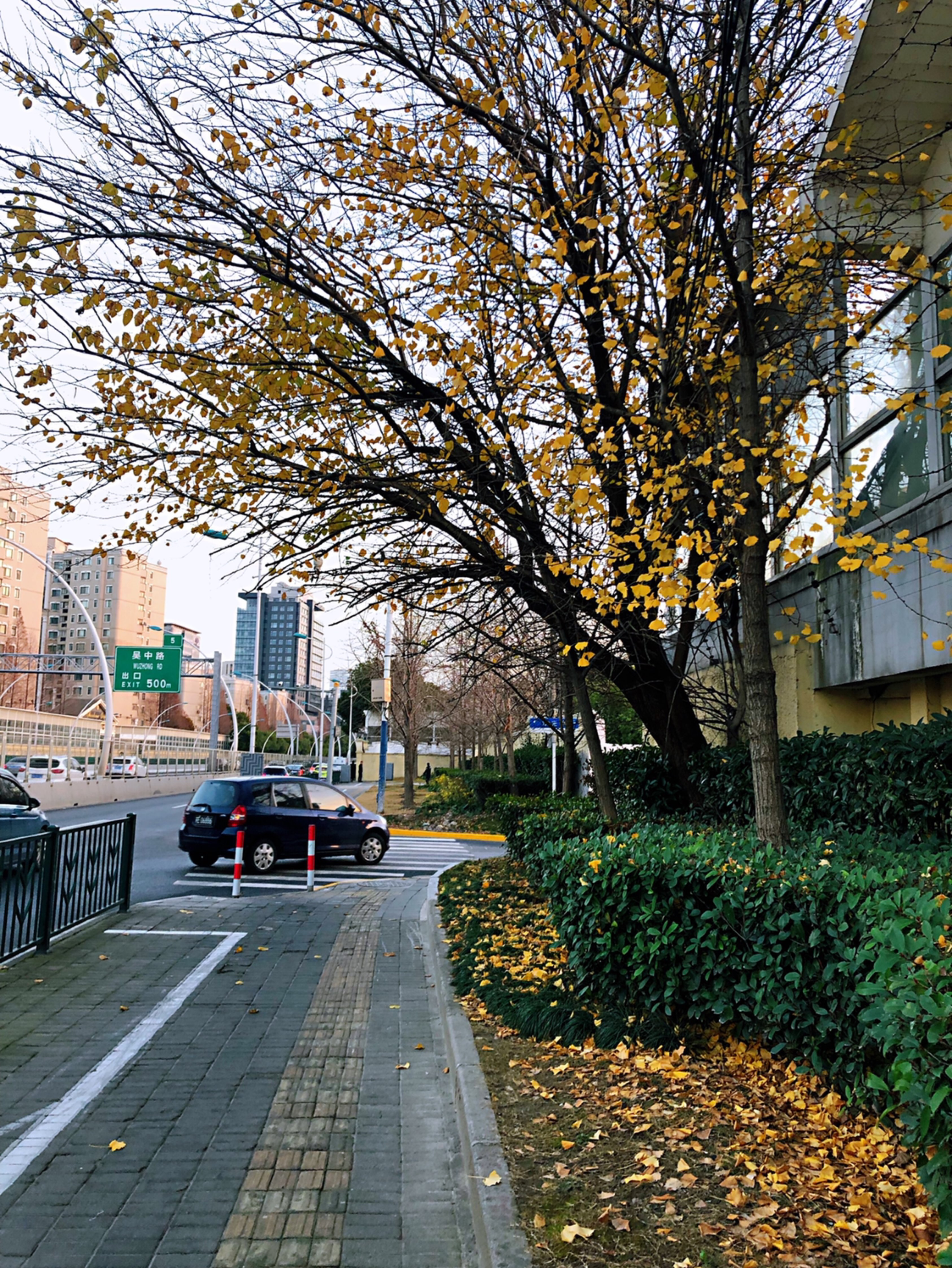 下班的路上 美丽的景色让我忘记了疲惫.