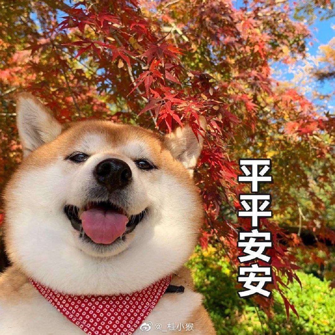 70愿2020平平安安开开心心越来越好_keep