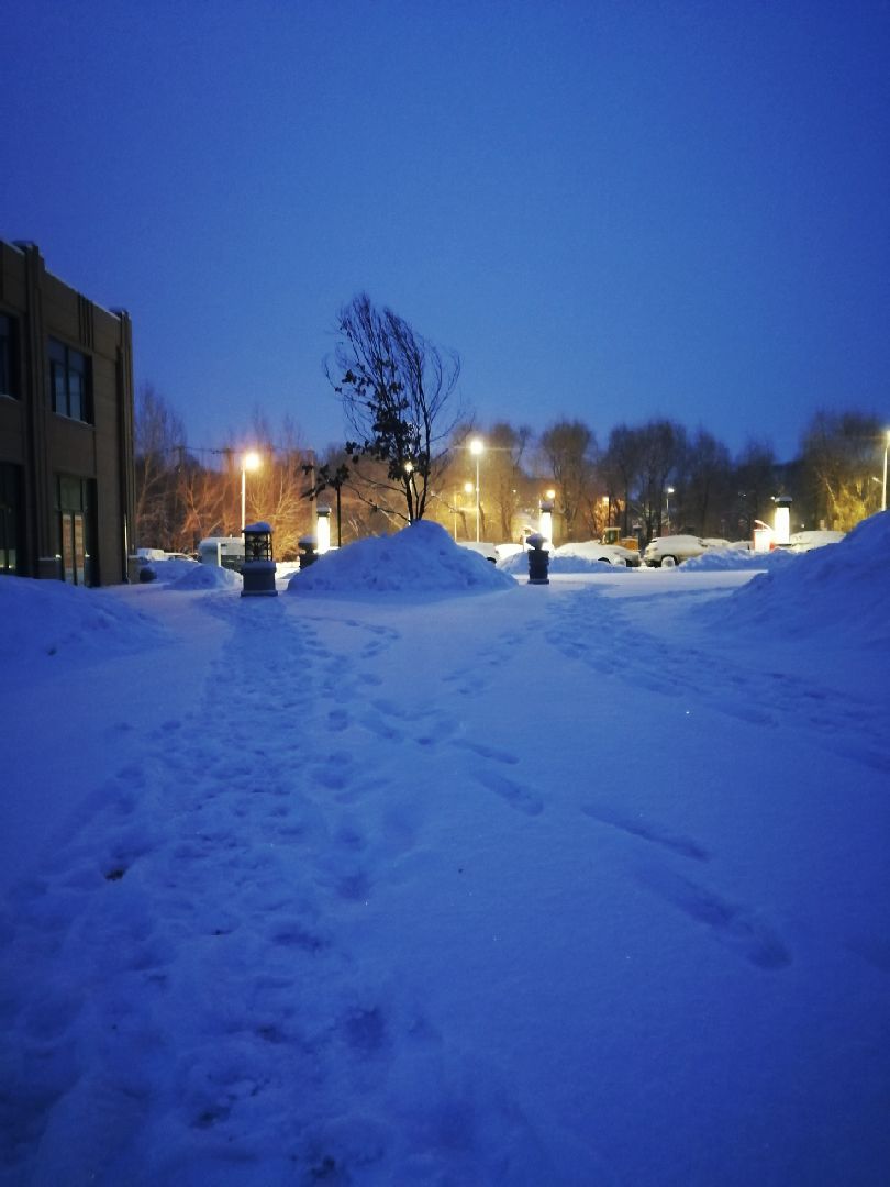 哈尔滨下雪图片真实图片
