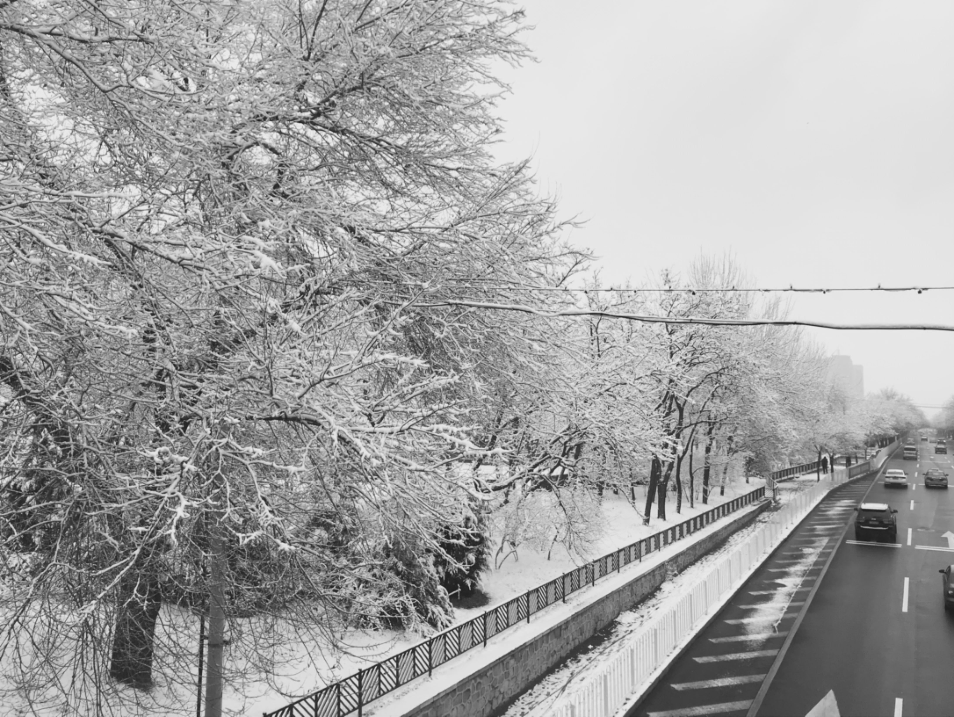 1月7日 西北风路面结冰宜慢摇小心地