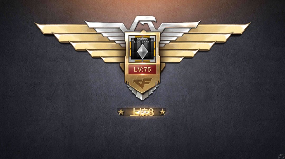 只有军衔,没有技术