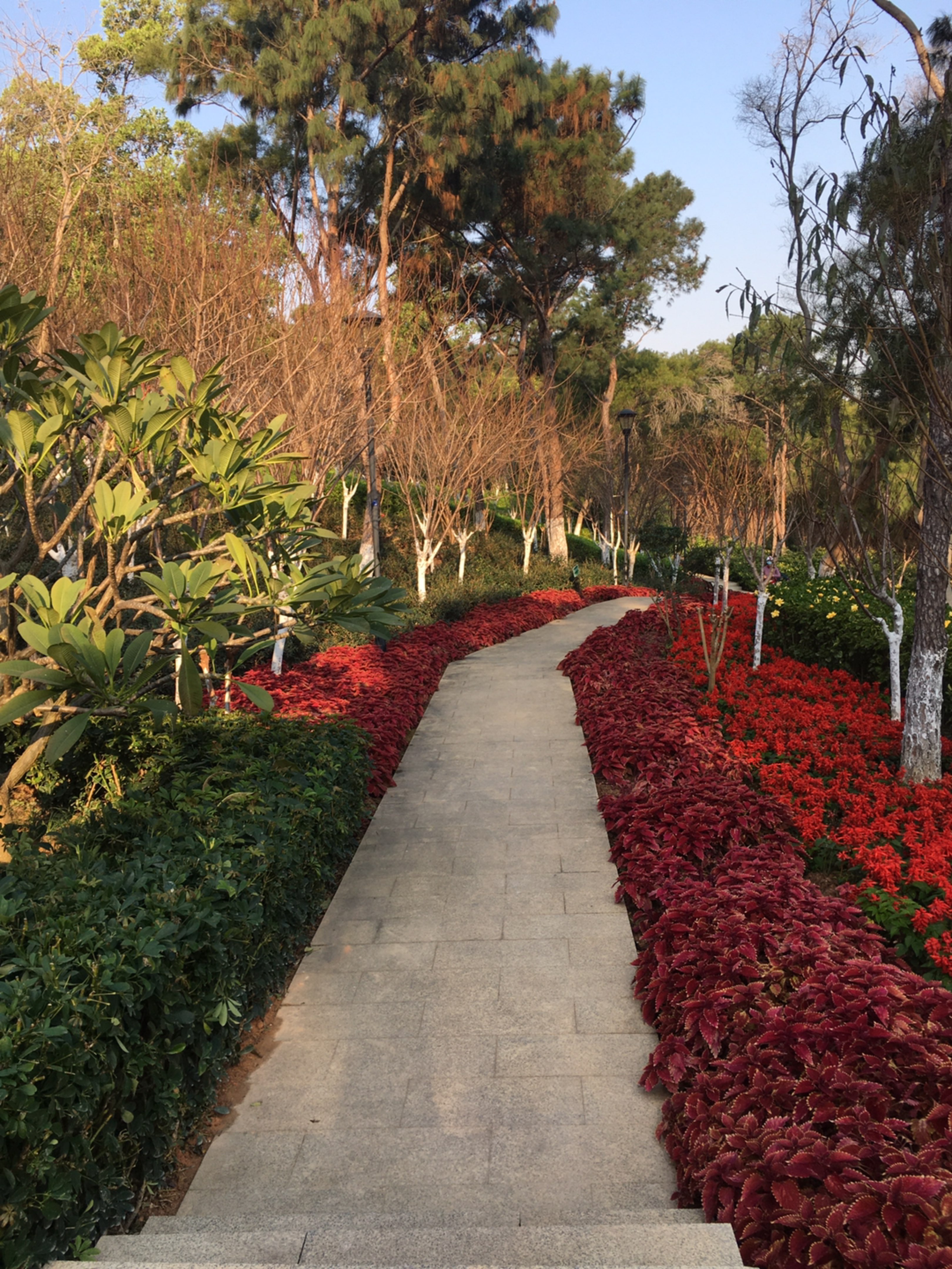 后山公园跑一下步