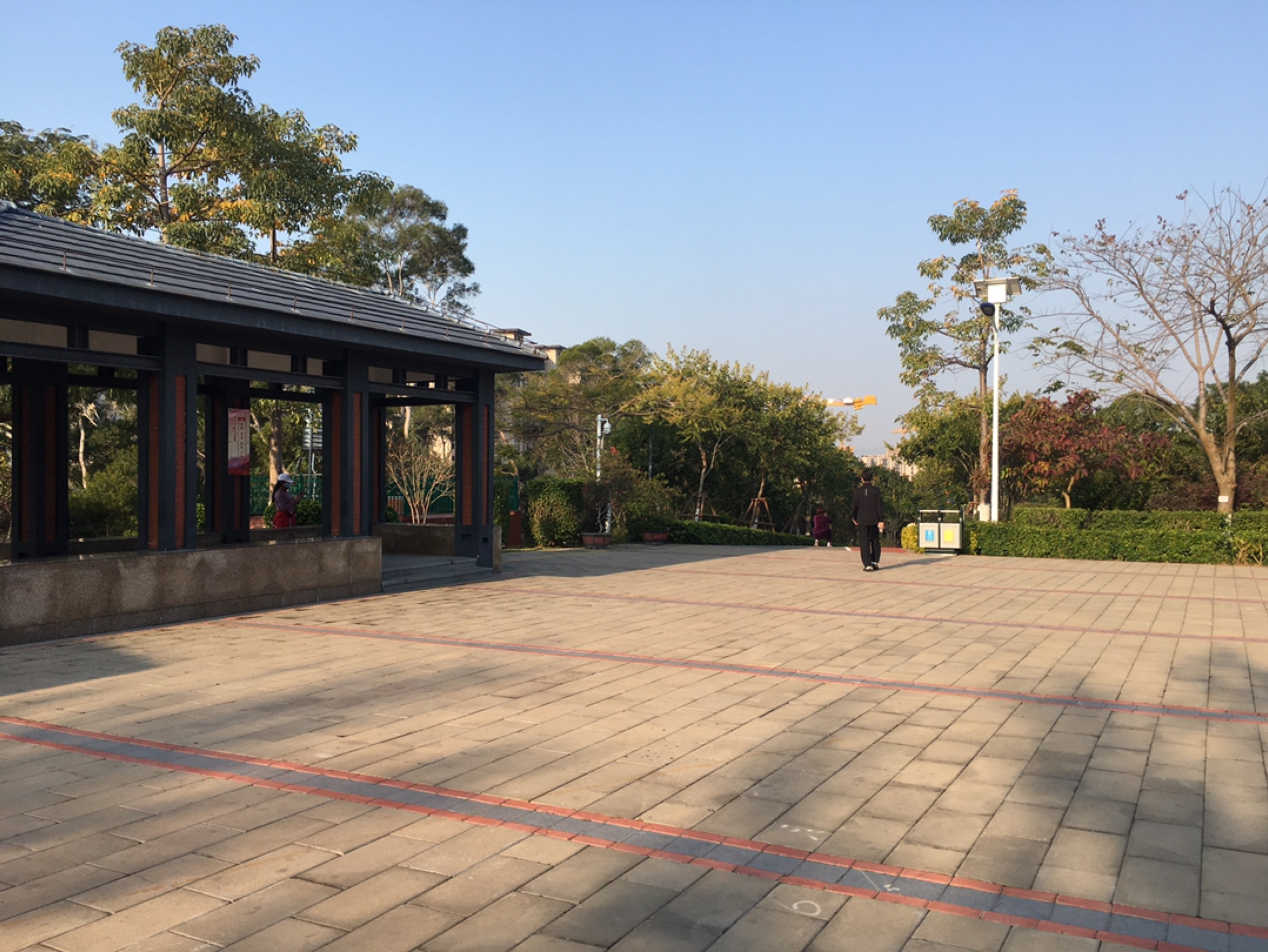 后山公园跑一下步