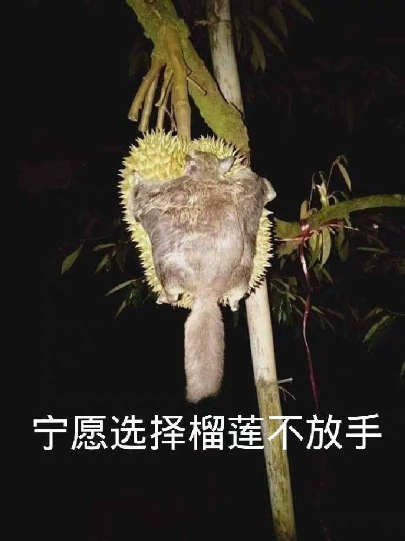 接到通知,3月27日前不到校,我哭了,还有一个月