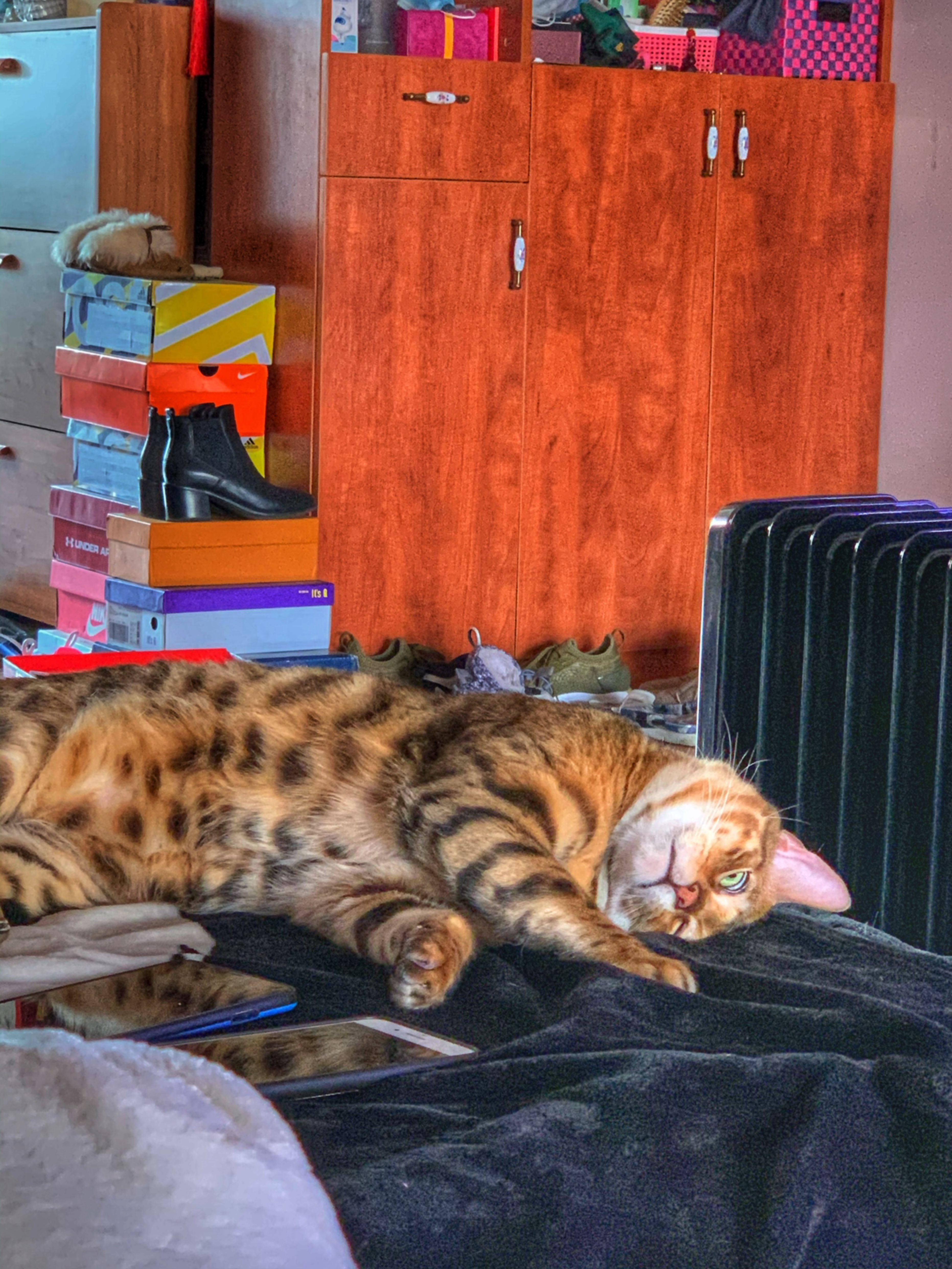 完成 女生弹力带塑形    臀肩 第2次 拯救我的日常摊尸状态.