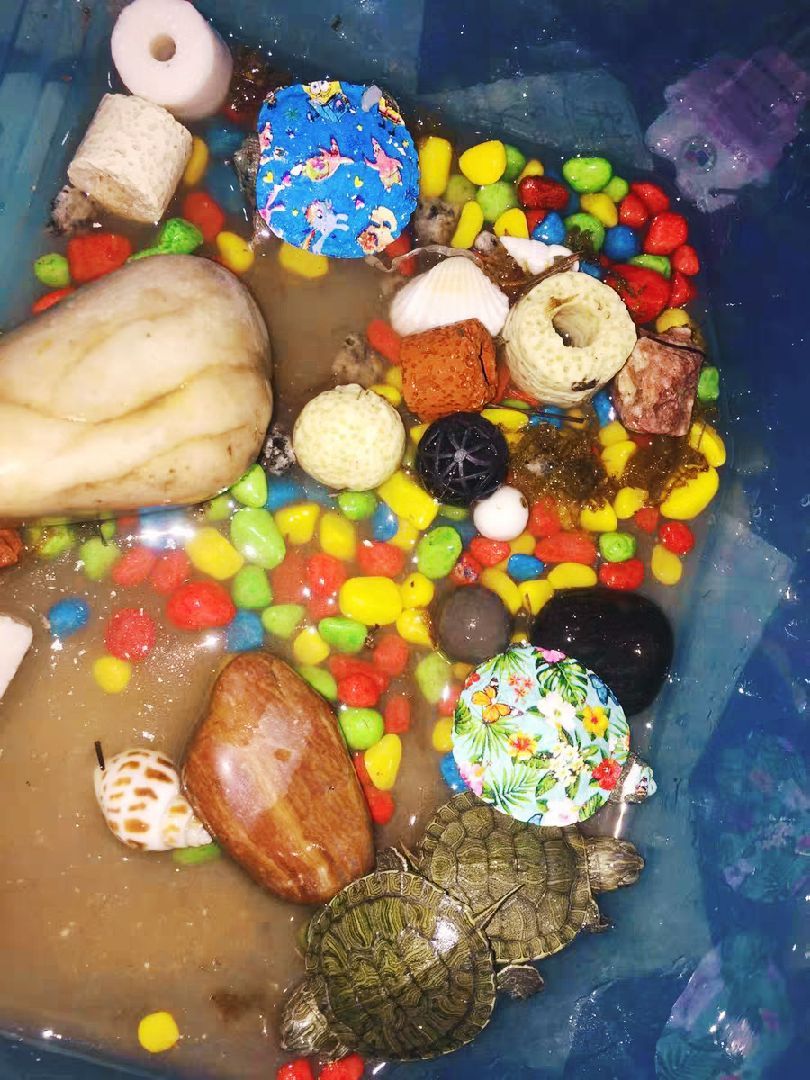 屈臂向后肩关节环绕 1x20" 原地慢跑 1x20" 半蹲 1x10 前后交叉小跳 1