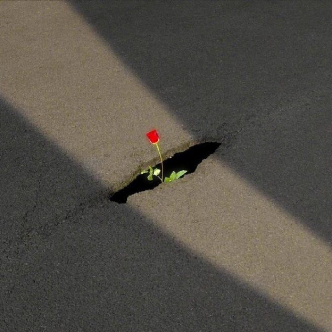 完成跑步机跑步5.04公里, 30分44秒 "裂痕,是光照进来的地方.