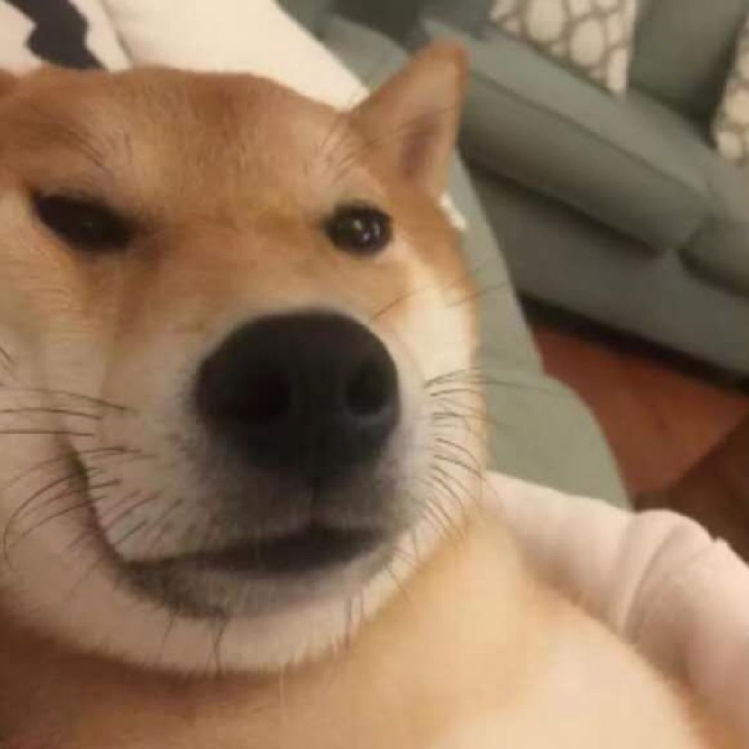 面对疾风吧!