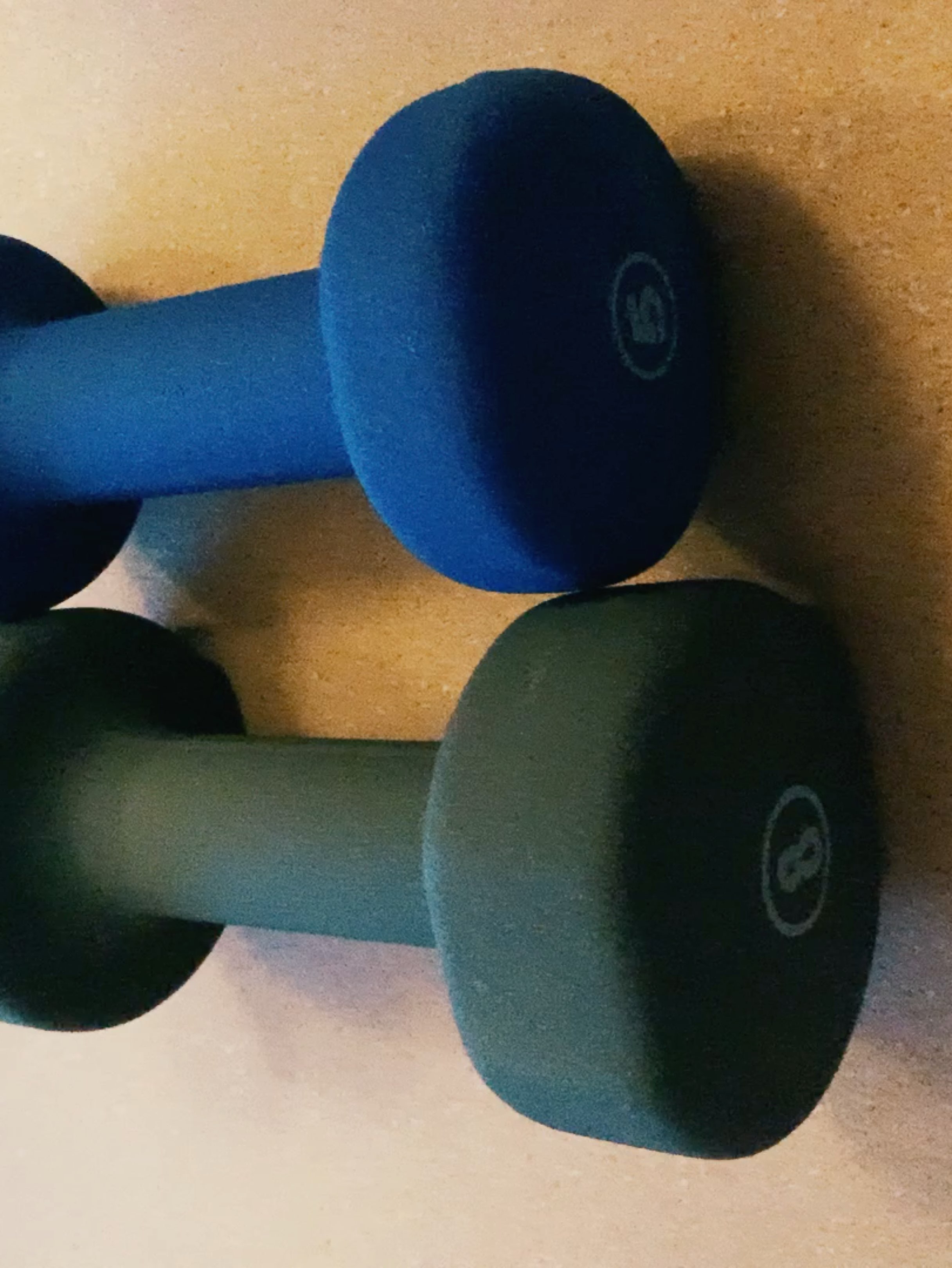 完成 女生小哑铃塑形    臀部强化 第11次 今天开始 小灰替代小蓝练 