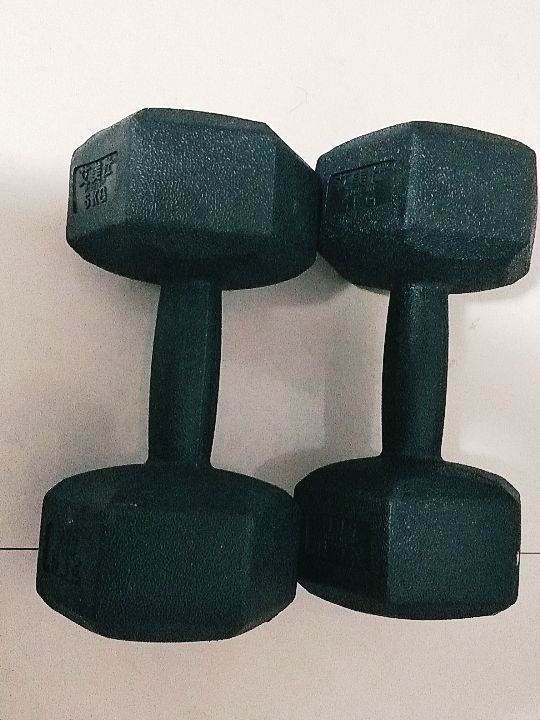 新买的5kg哑铃到了,第一次练习