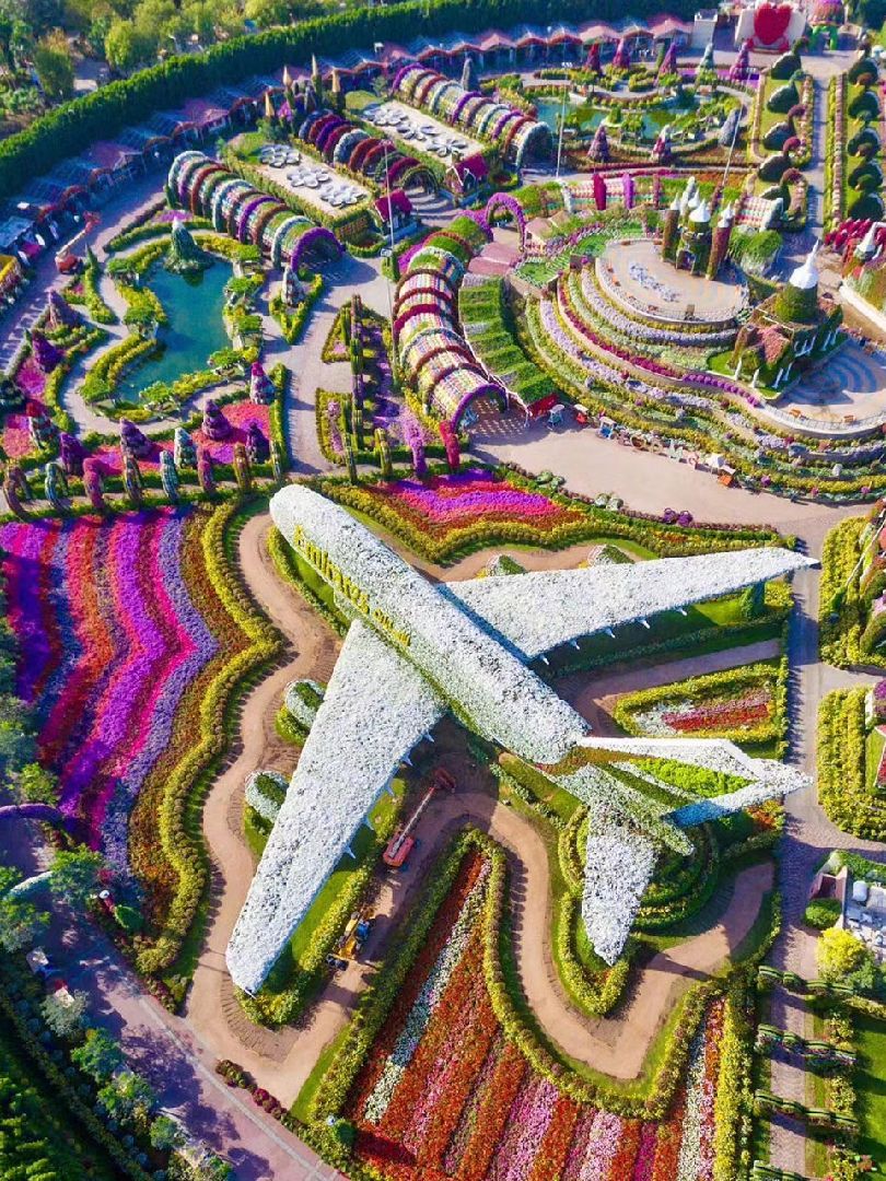 迪拜-dubai miracle garden 世界上最神奇沙漠花园这座神奇花园从每年