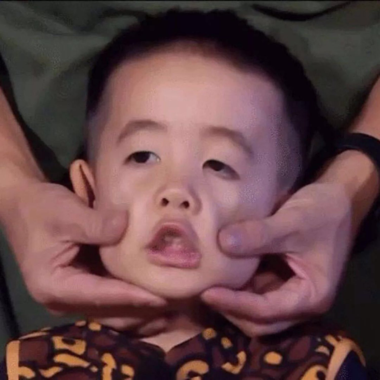 承认阴影的存在,但更多的看见阳光;即便底色悲凉,热望