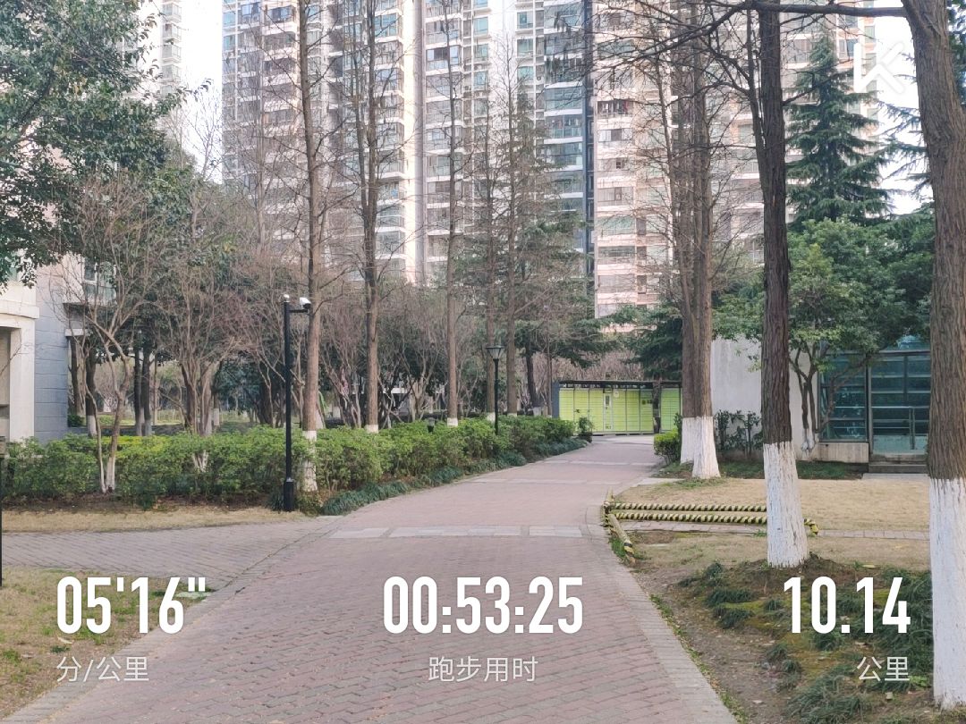 开年后首次小区外跑步,植树节到了,让我们更环保!