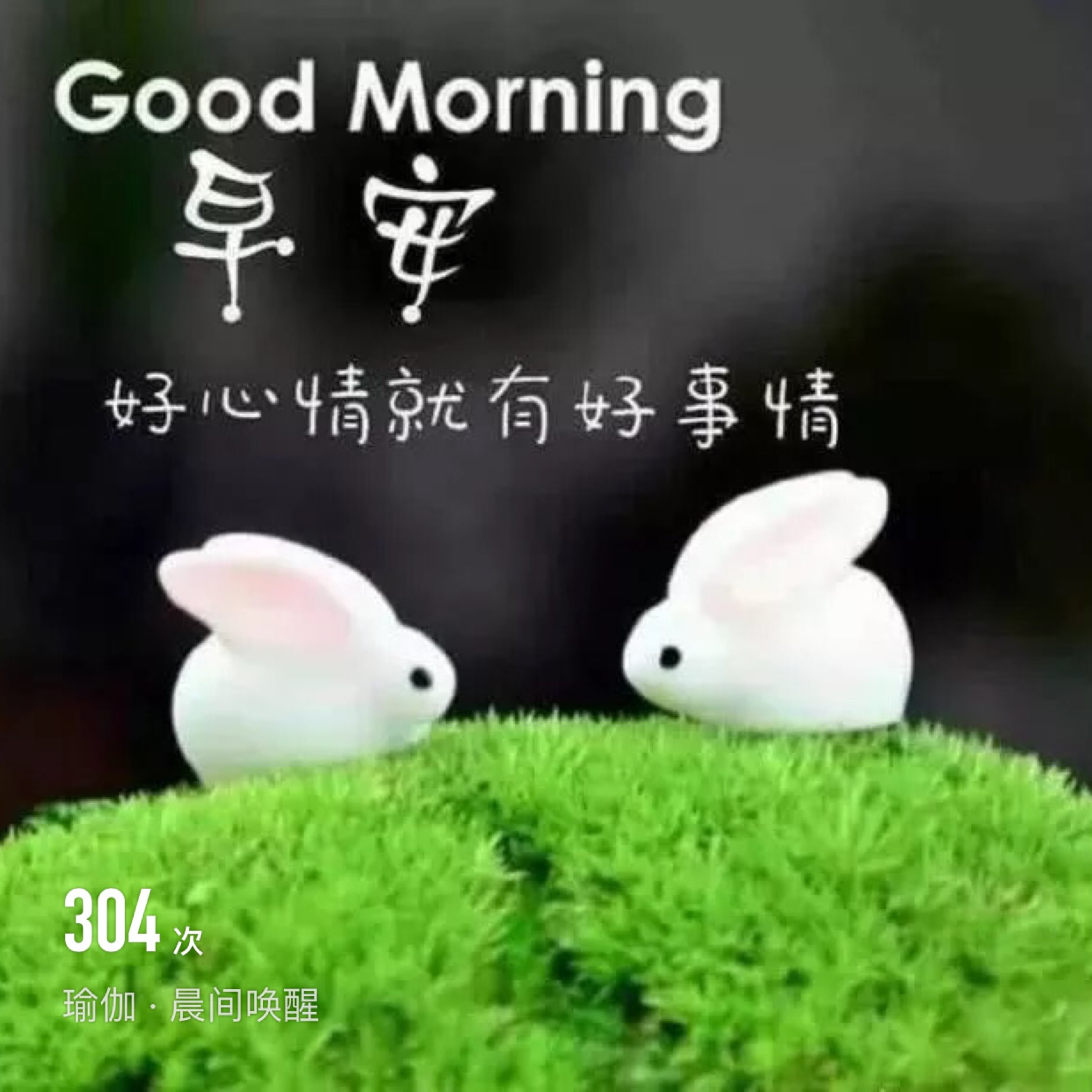 完成 瑜伽    晨间唤醒 第304次 keep