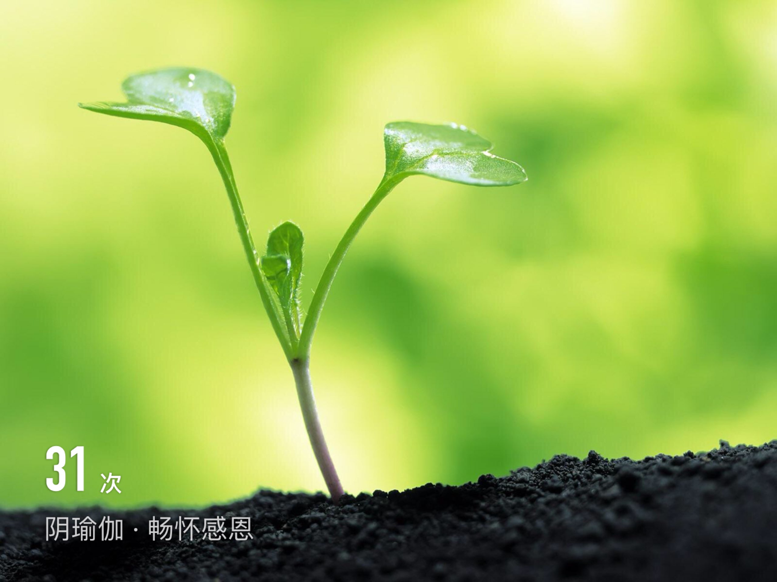 完成 阴瑜伽    畅怀感恩 第31次 感恩叔叔阿姨