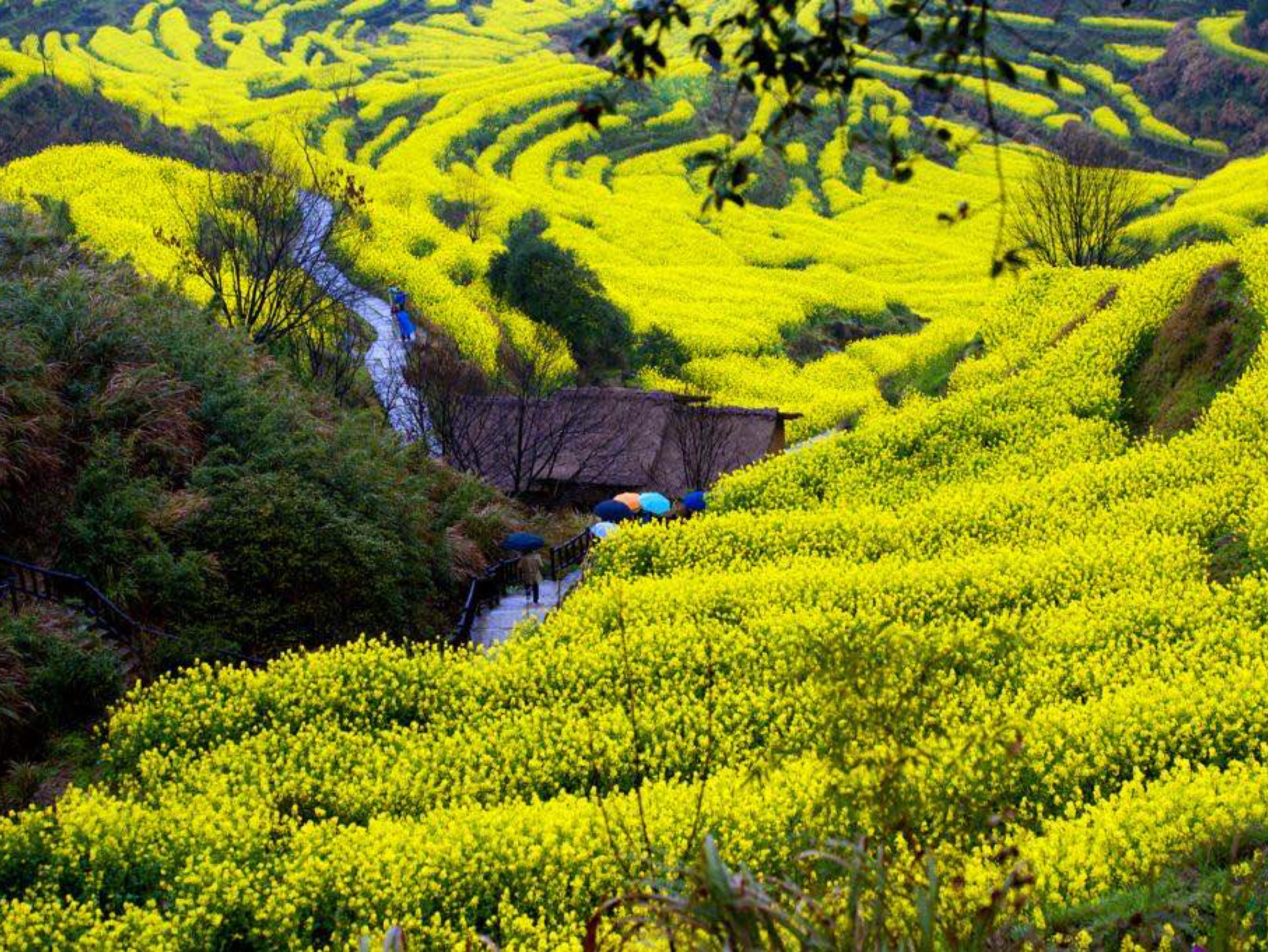 好养眼哦!哈哈哈哈