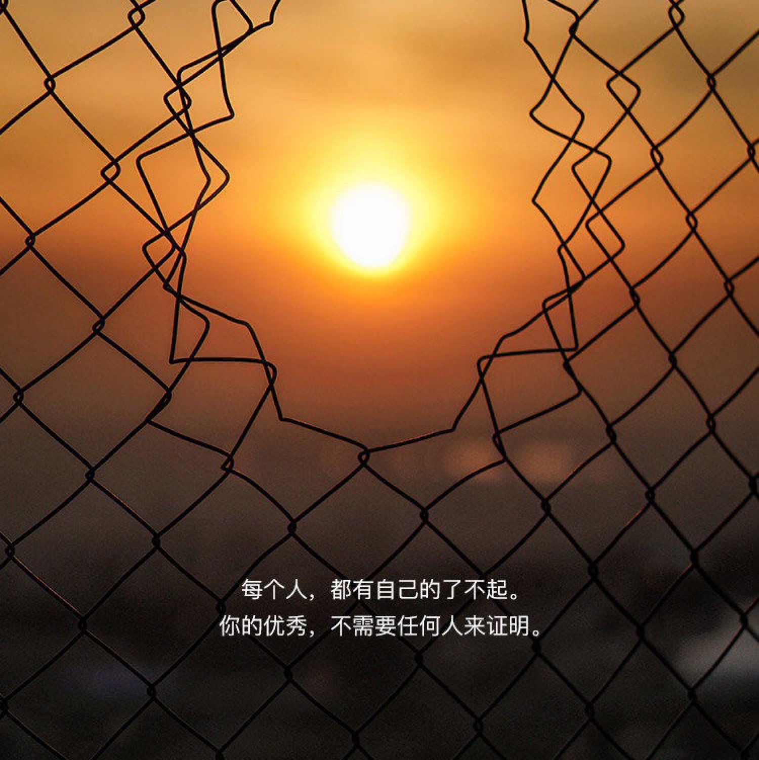 愿一切努力都值得