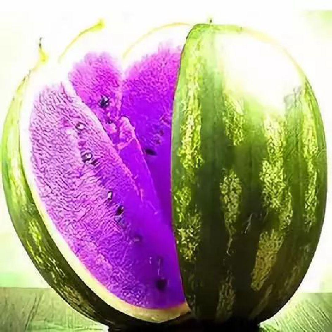 紫色西瓜,你们见过吗?