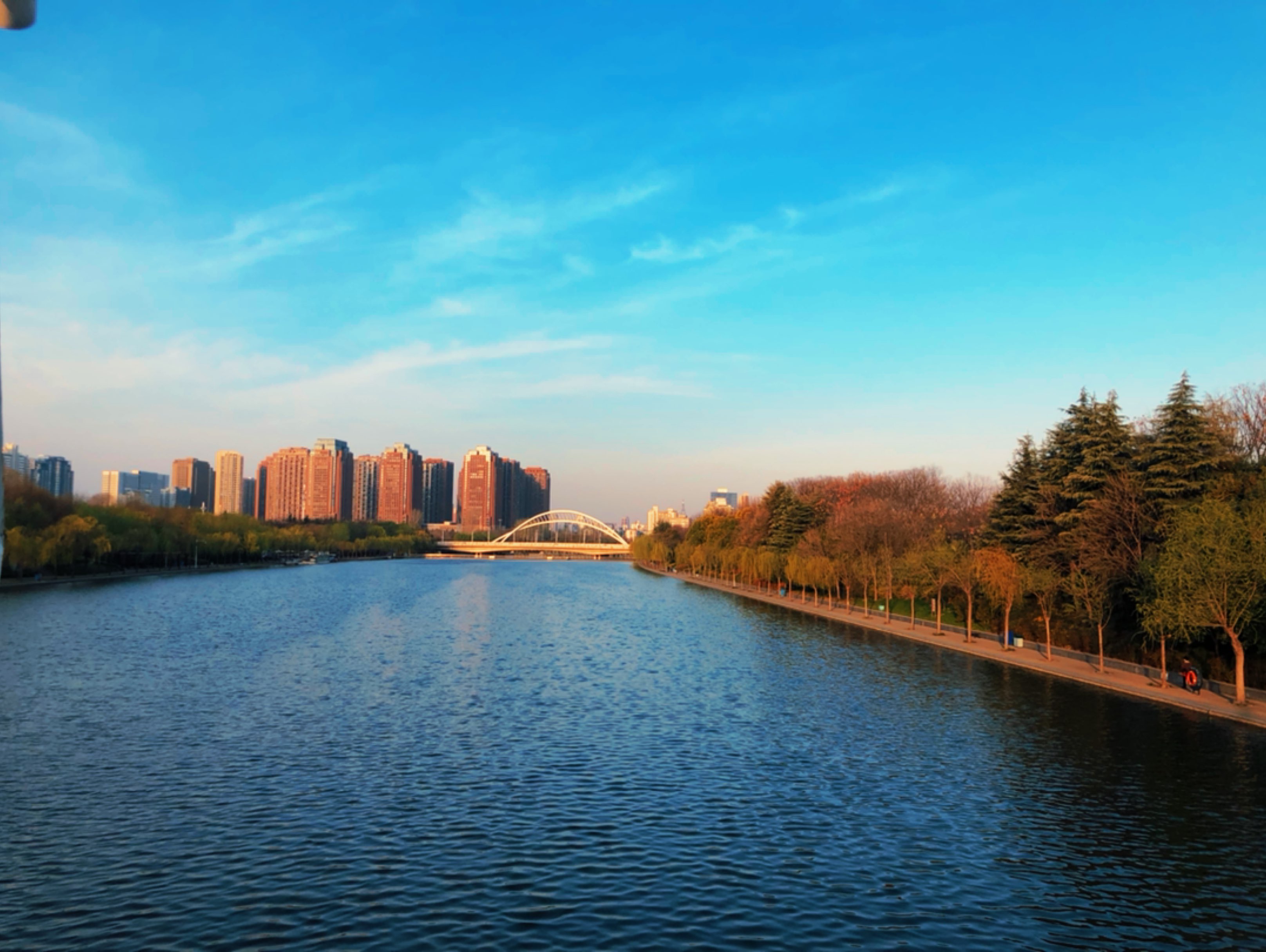 杨柳青青江水平……可爱深红爱浅红