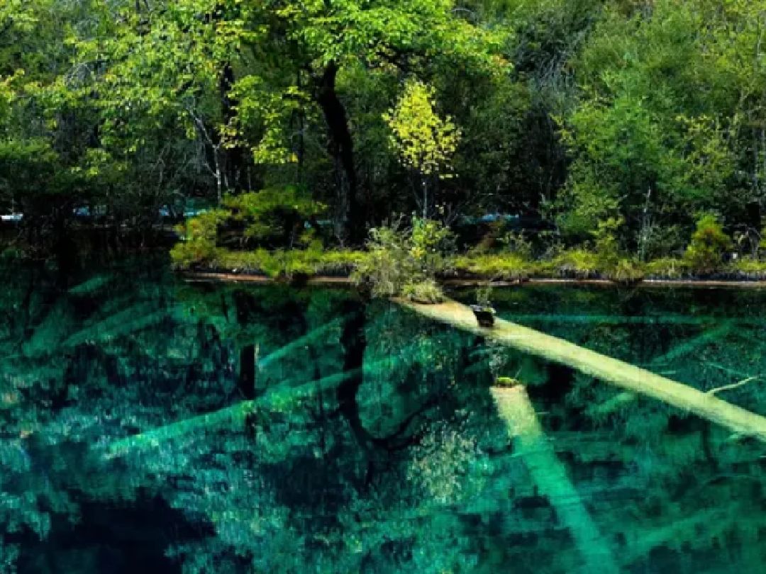 寒潭之月影的动态_keep