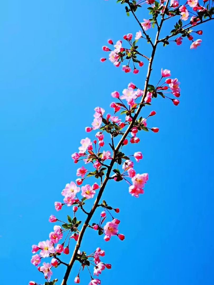 阳光如此美好~心情必须灿烂~ ～(~▽~～)