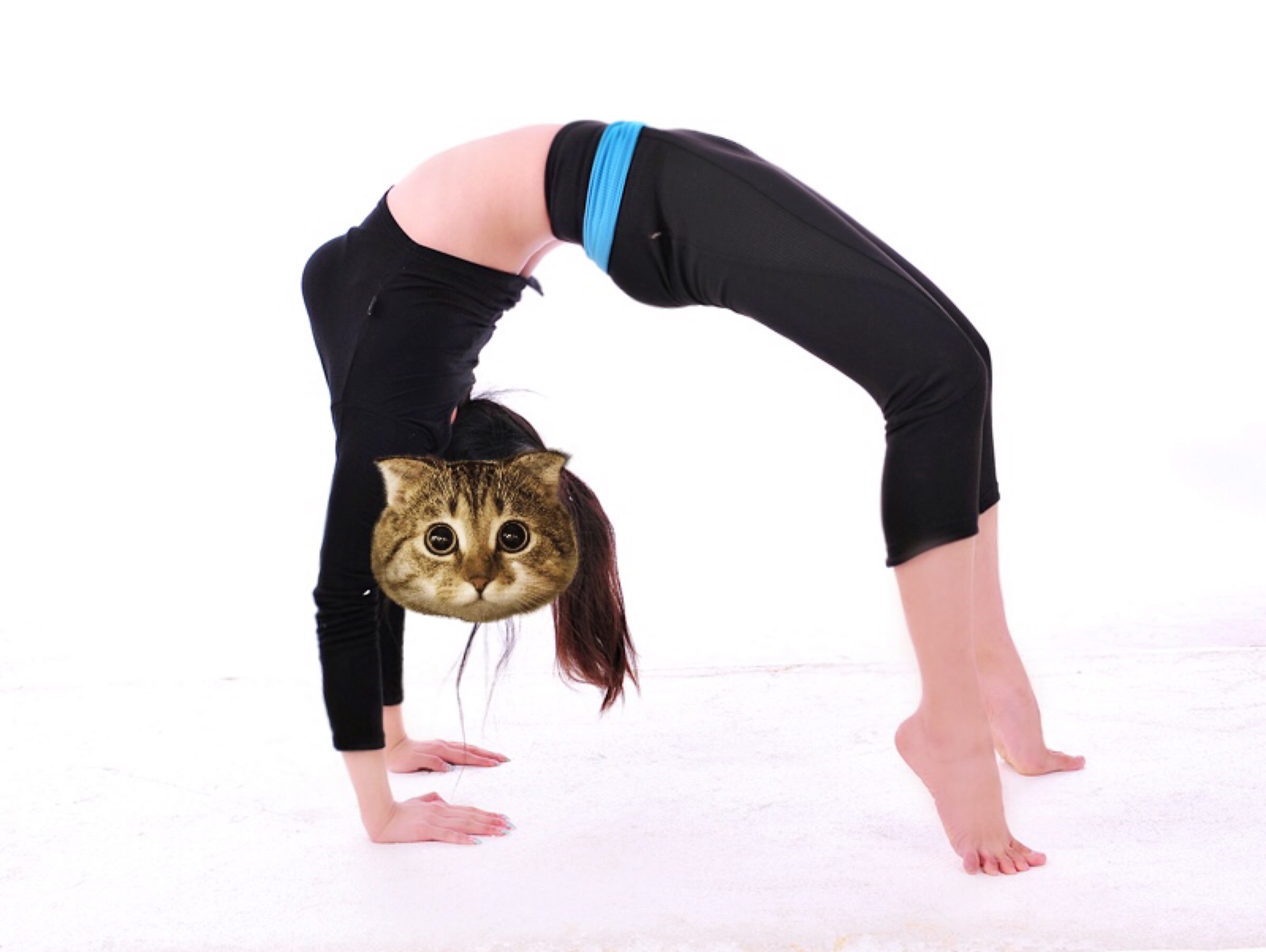 自律是一切的最好开始!