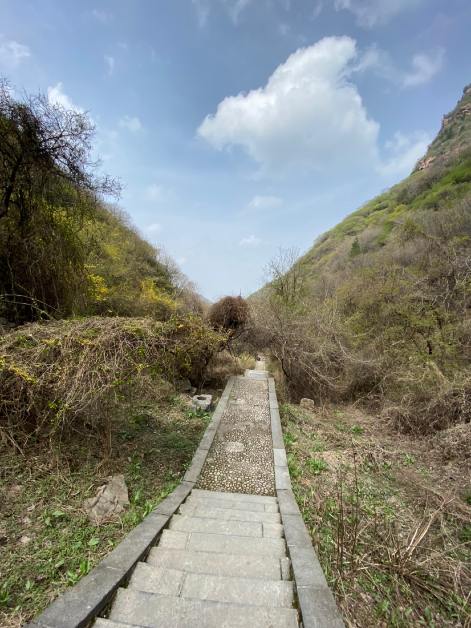 山路崎岖难行.