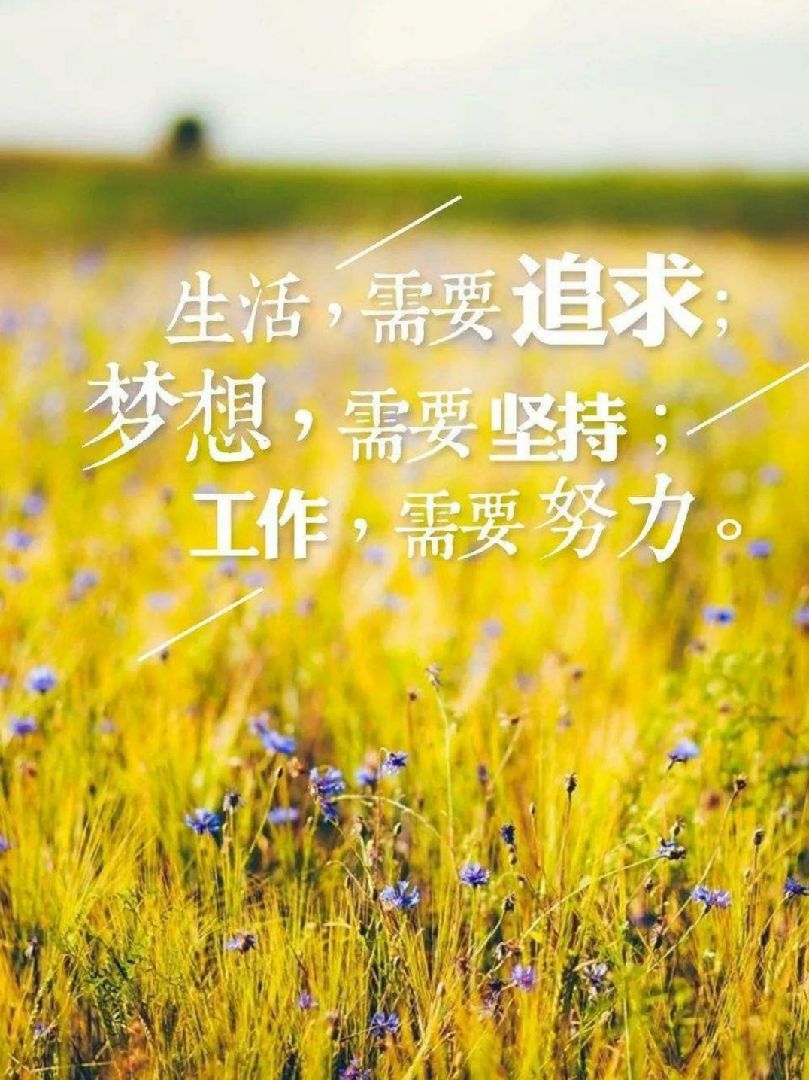 看不到成果但不要灰心和焦虑你不是没酉蜃拍勘昵敖计钚枰非