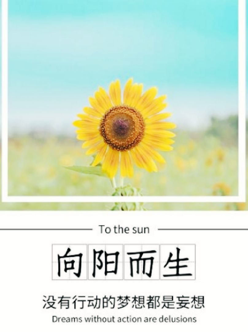 致未来的我