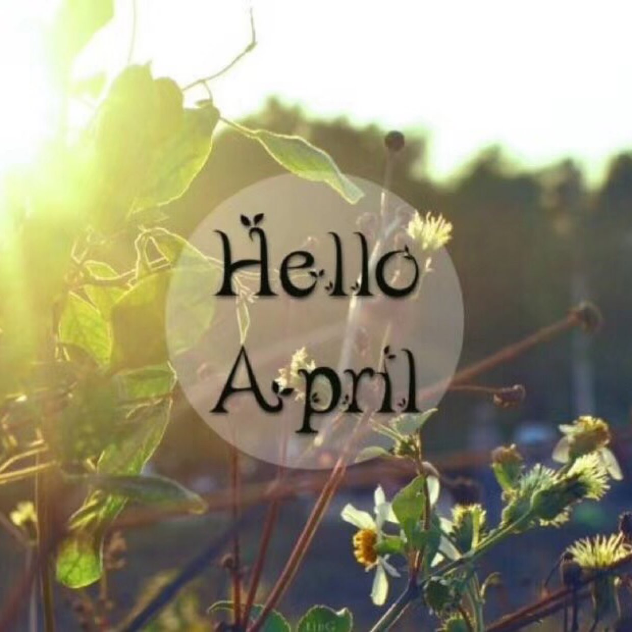 hello april
