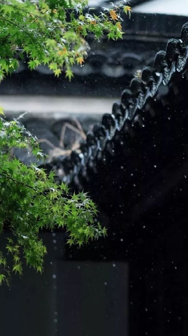 预报说今天有大雨但现在是小雨,窗外不时传来雨打屋檐的"嘀嗒"声,在家