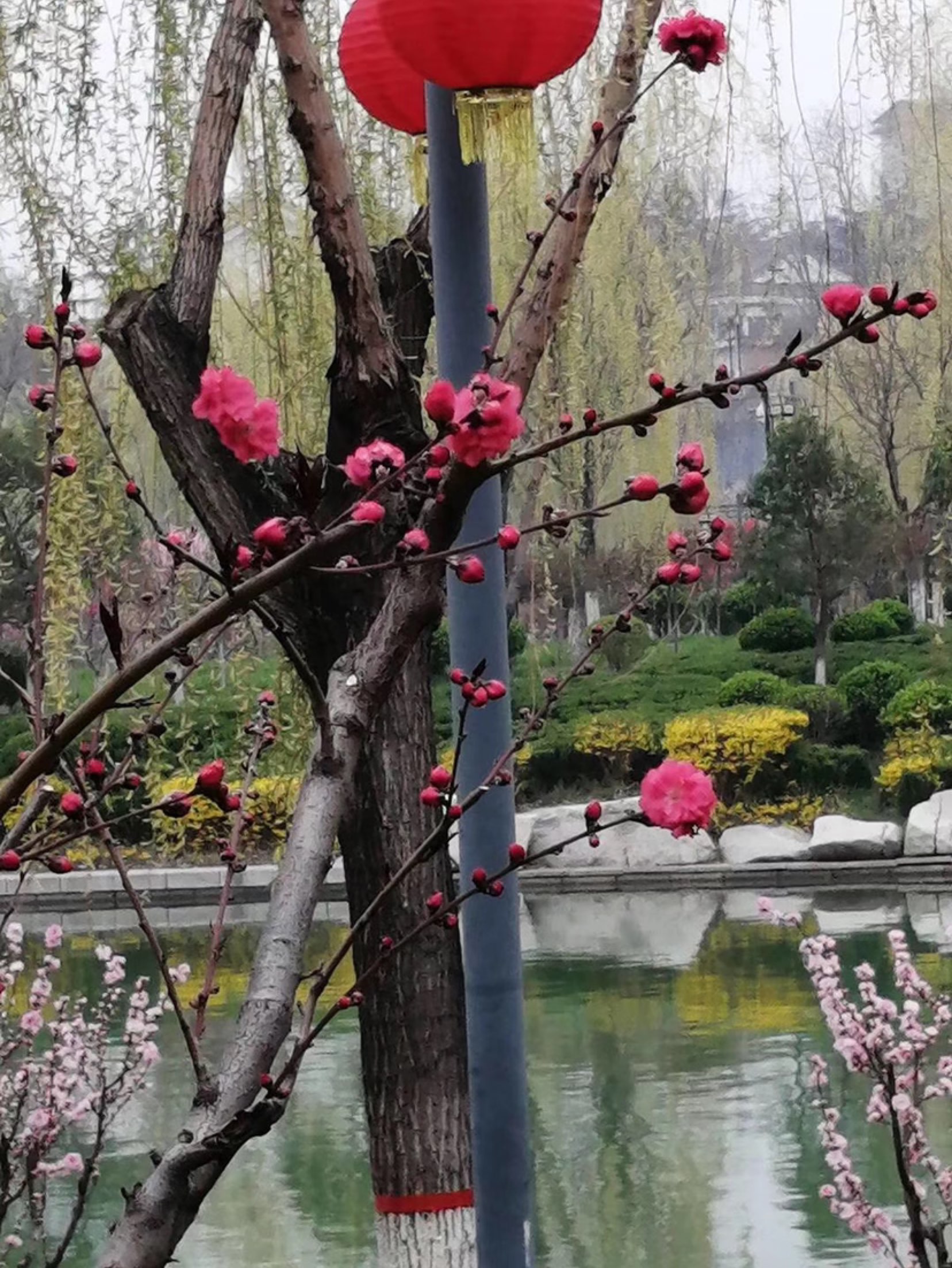 阳光明媚,风和日丽的一天