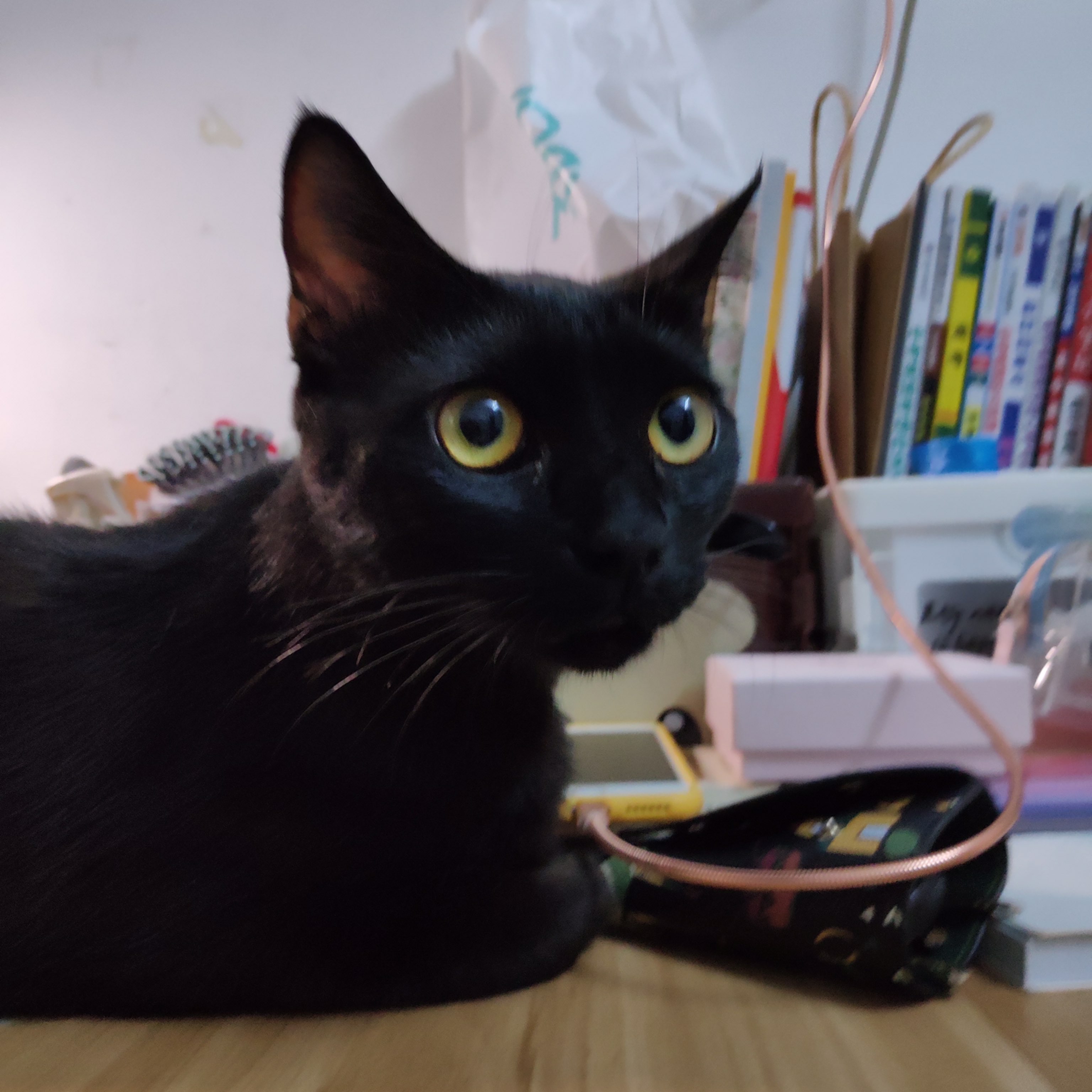 完成 热舞操    动感舞步初级 i 第5次 利用休息时间,加油不能停