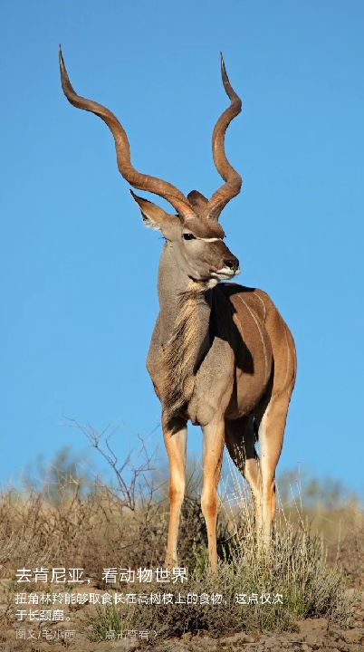 我觉得这个腹肌激活别的肌肉余地激活呀.