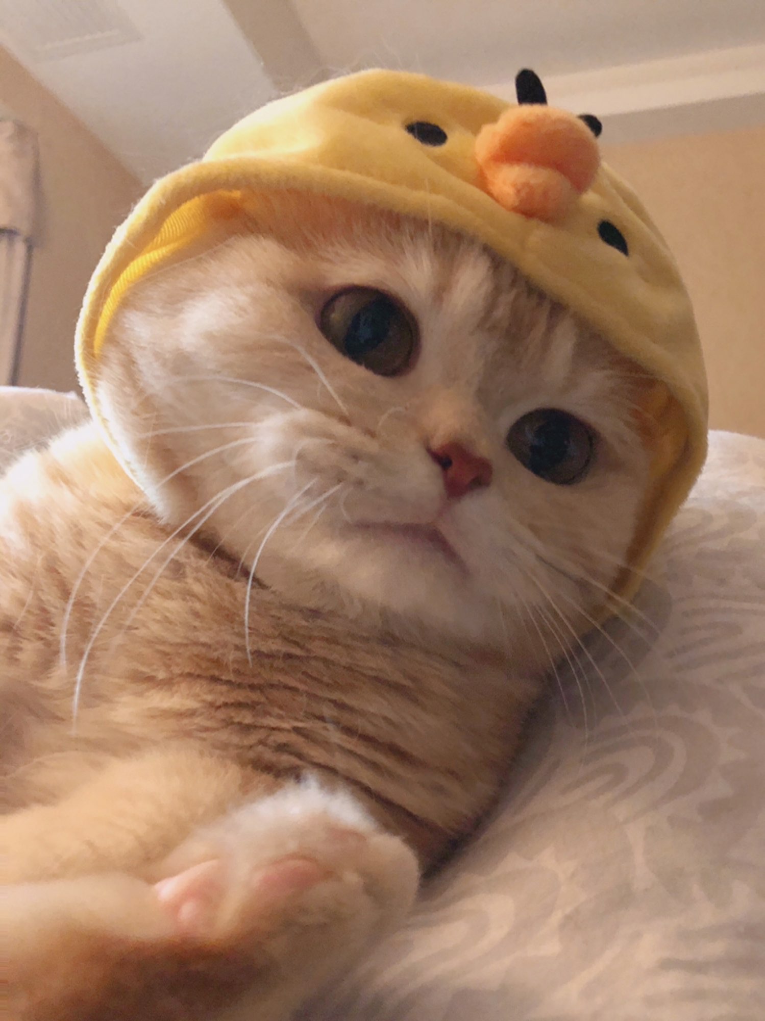 我亲爱的波棱盖啊你可要争点气了_keep