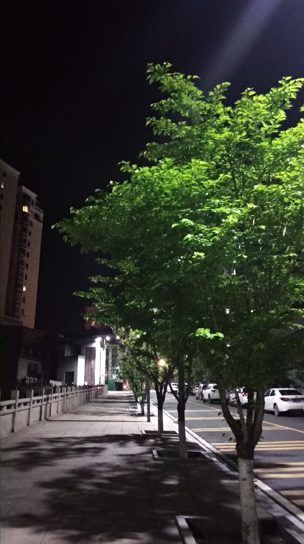 夜黑风高,遛遛宠物. *春* *手作* *小手工* *少年记忆*