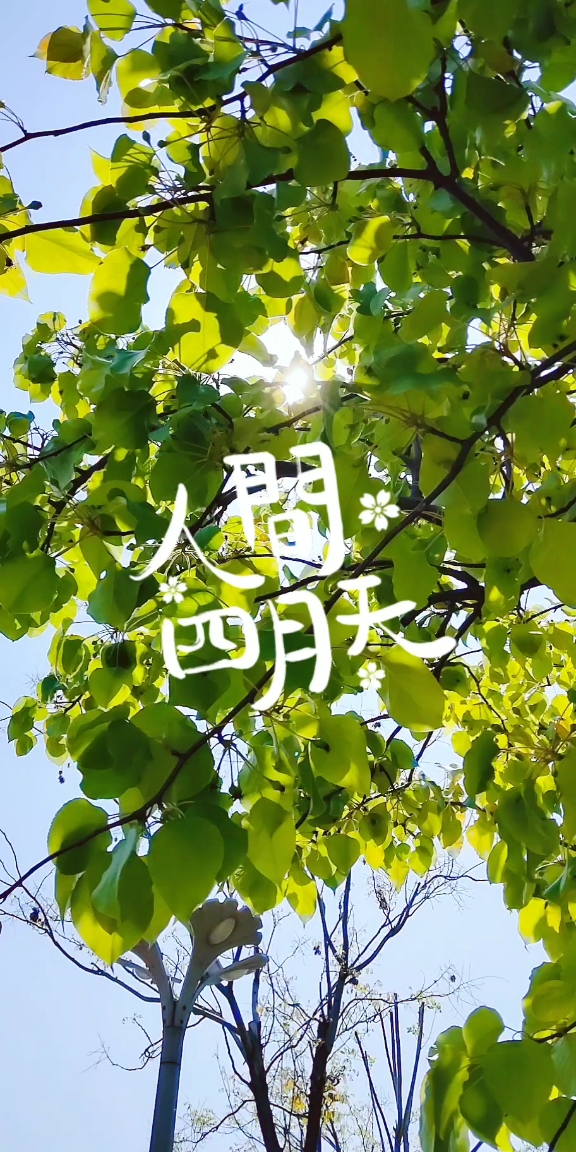 阳光正好,微风不燥