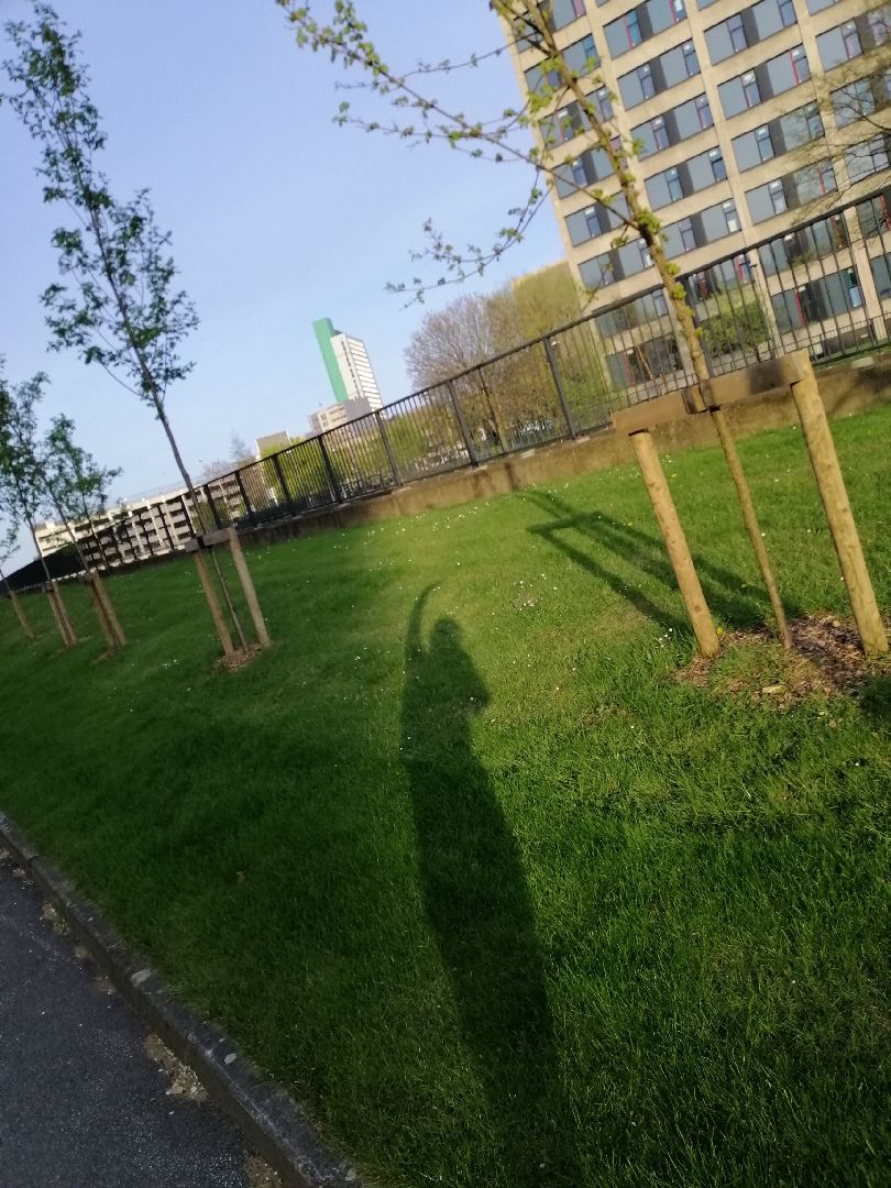 木子橙橙今天瘦了吗 立即参与  完成户外跑步4.