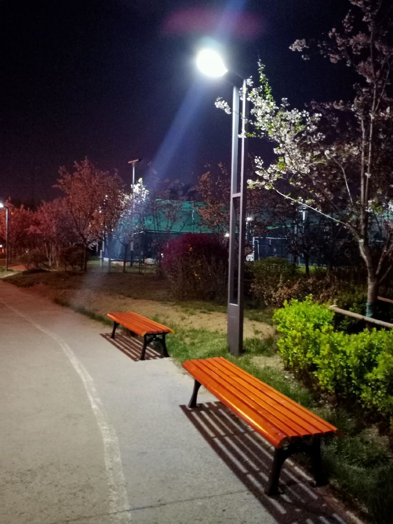 自己去小区西边的小花园散步的感觉很奇妙,夜色伴着